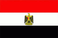 دولي- مصر تدعو مجلس الامن لاصدار قرار بالتدّخل الدولي في ليبيا