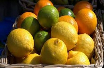 25 ألف طن سنويا حجم الصادرات التونسية من القوارص