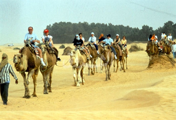 ارتفاع عدد السياح الوافدين على قبلي