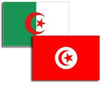 عمليات عسكرية جزائرية تونسية ضد الإرهابيين